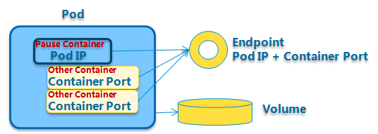 pod