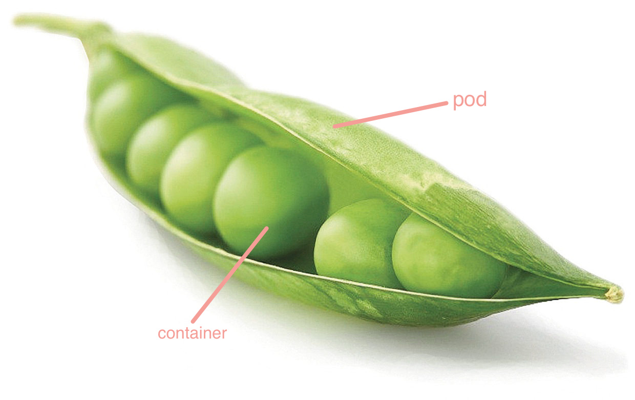 pod picture